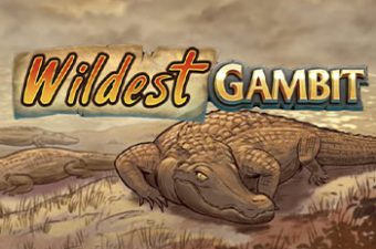 Wildest Gambit